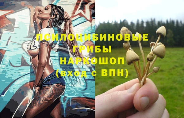 крисы Балахна